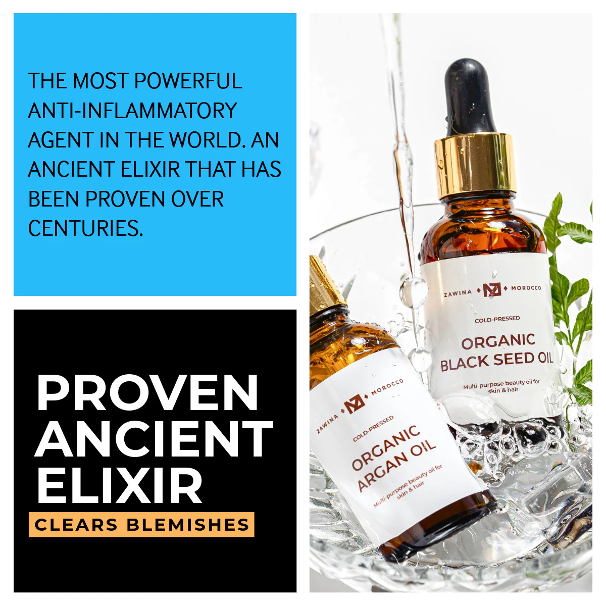 Pure Blackseed Oil - Image 4