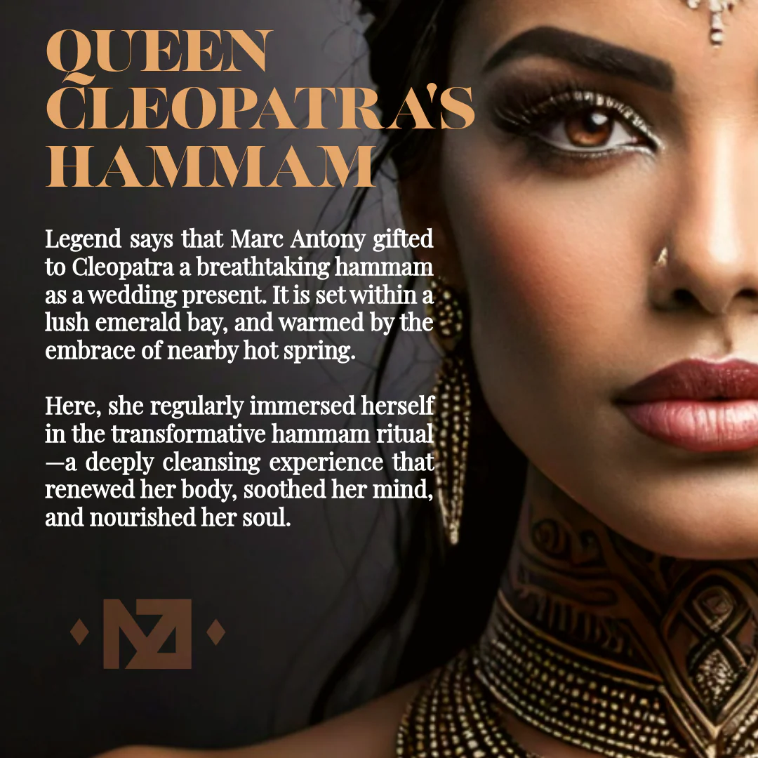 The Starter Set - Image 3
